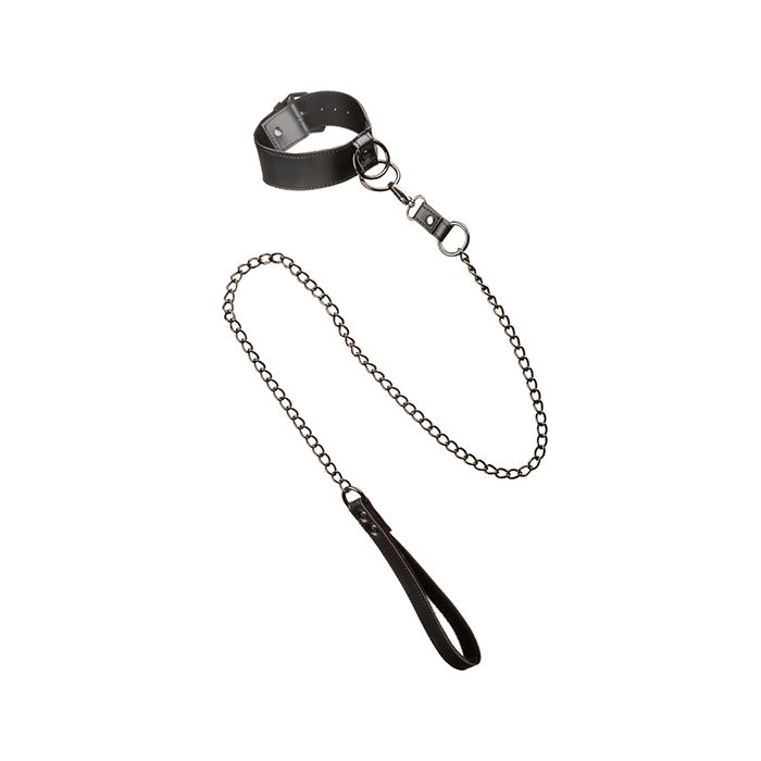 Euphoria Collection Collar with shimmering Chain Leash