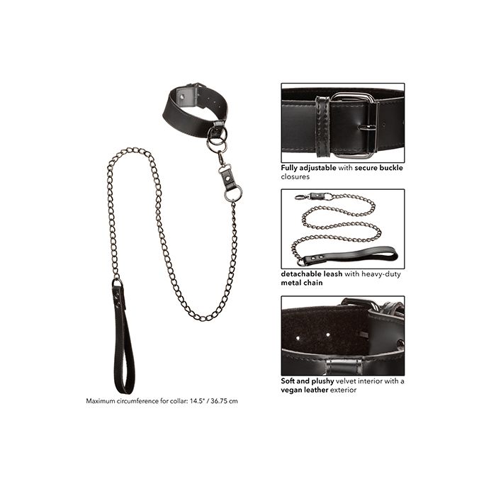 Euphoria Collection Collar with shimmering Chain Leash