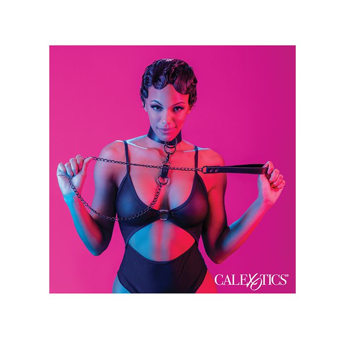 Euphoria Collection Collar with shimmering Chain Leash