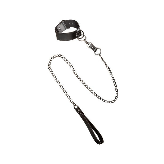 Euphoria Collection Collar with shimmering Chain Leash