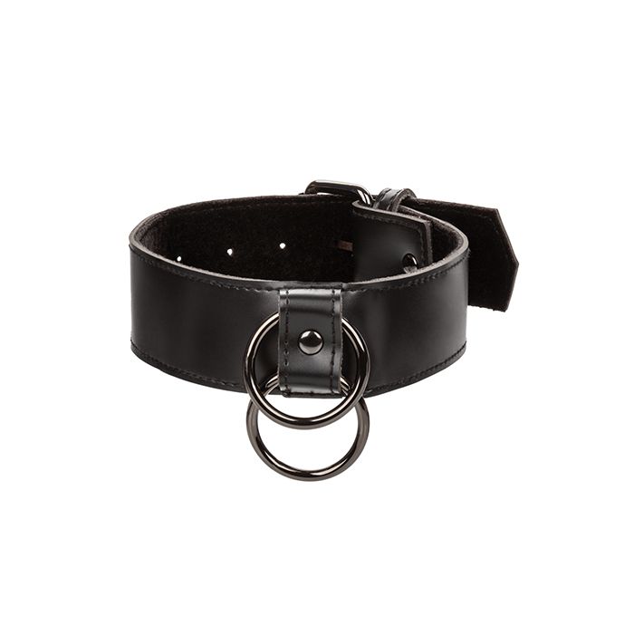 Euphoria Collection Collar with shimmering Chain Leash